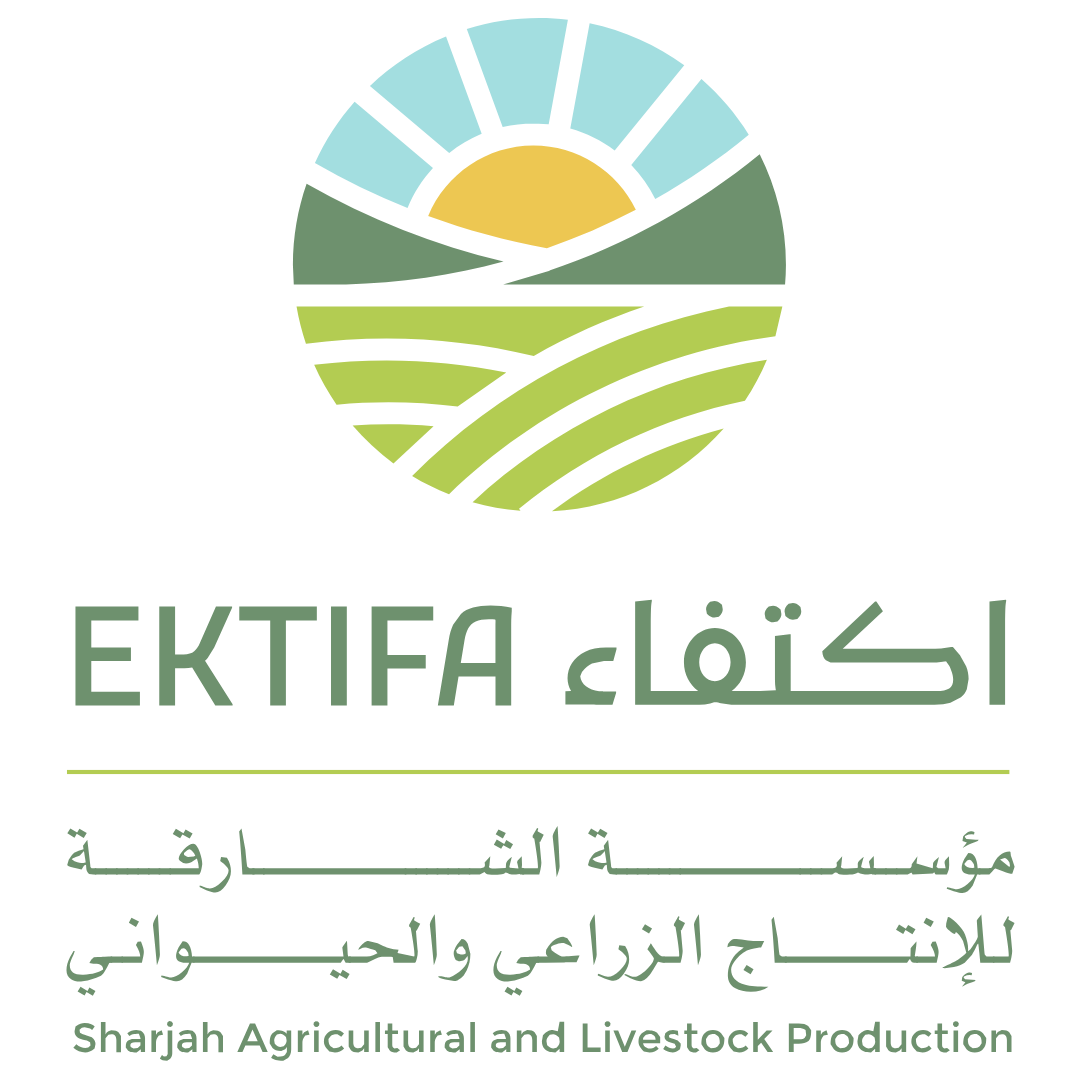 Ektifa