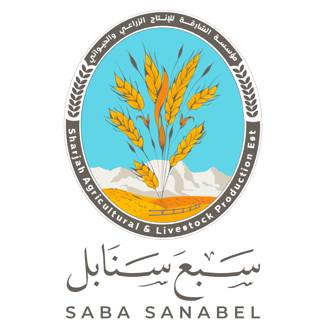 Saba Sanabel